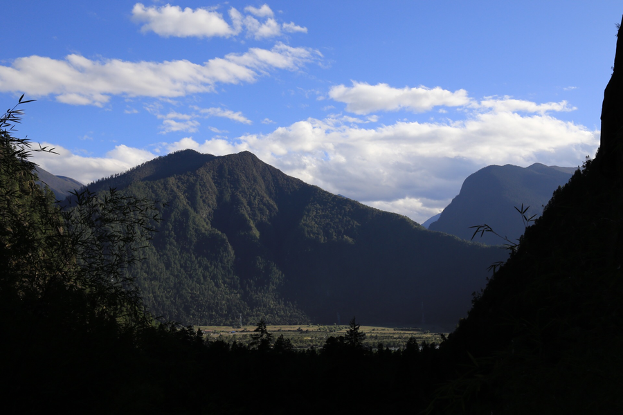 Lulang Forest