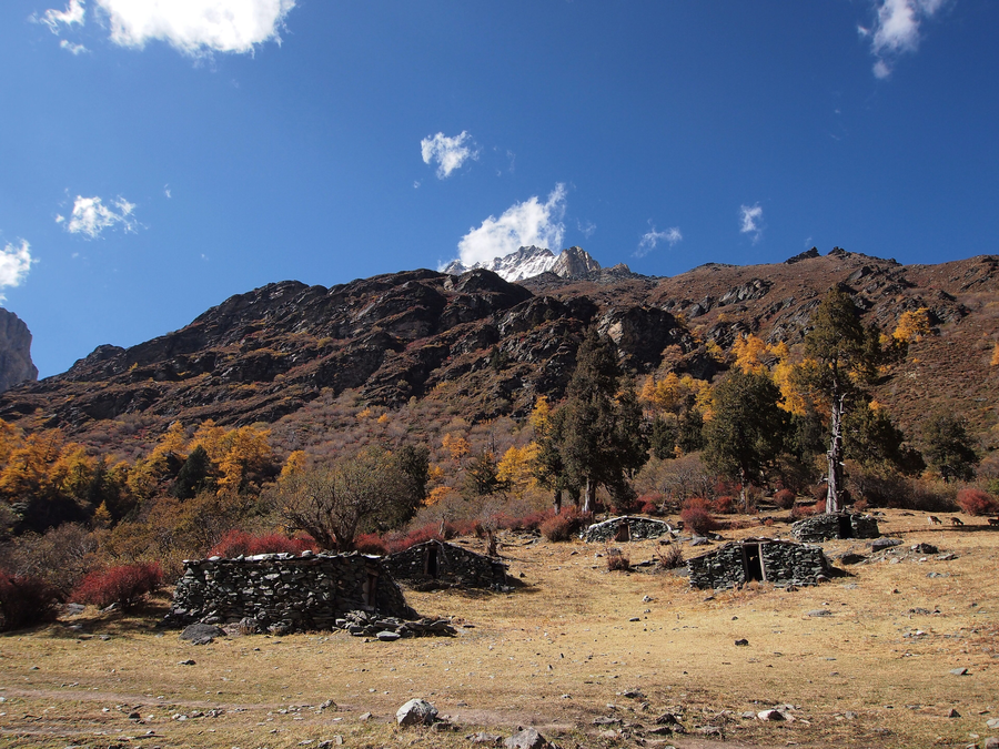 Yading · Luorong Pasture